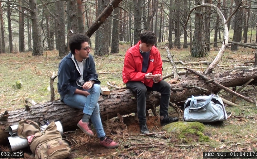 SMELLS LIKE SULFUR: introducing picked film: first ideas : logistics: & more